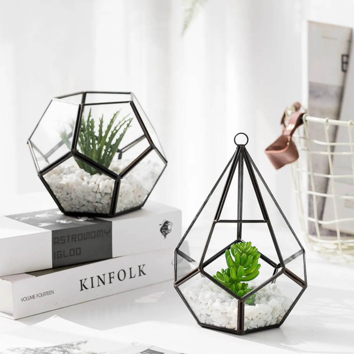 Home Succulent Bonsai Decoration