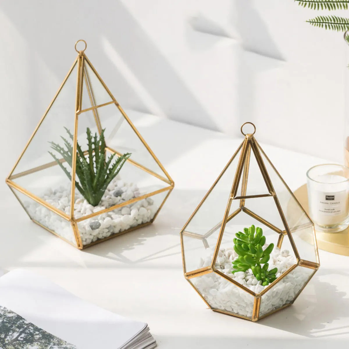 Home Succulent Bonsai Decoration